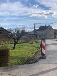 Photo of this report