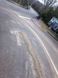 Photo of this report