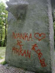 Photo of this report