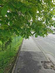 Photo of this report