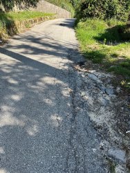 Photo of this report