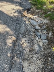 Photo of this report