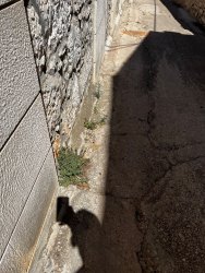 Photo of this report