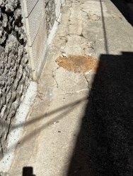 Photo of this report