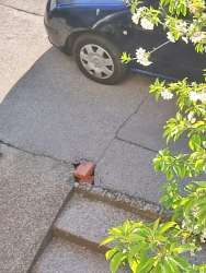 Photo of this report