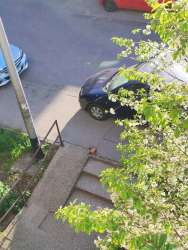 Photo of this report