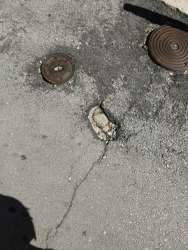 Photo of this report