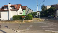 Photo of this report