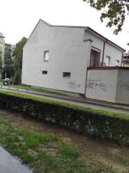 Photo of this report