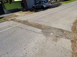 Photo of this report