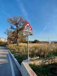 Photo of this report