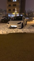 Photo of this report