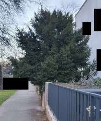 Photo of this report