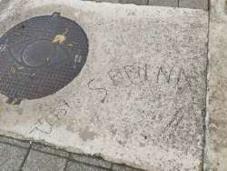 Photo of this report