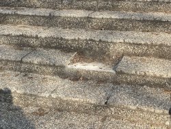 Photo of this report