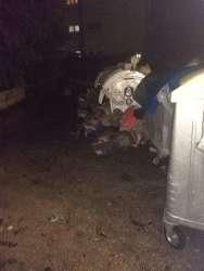 Photo of this report