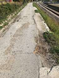 Photo of this report