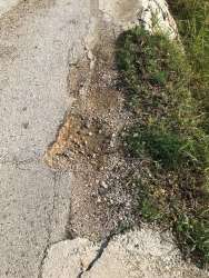 Photo of this report