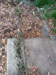 Photo of this report