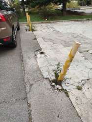 Photo of this report