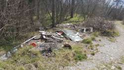 Photo of this report