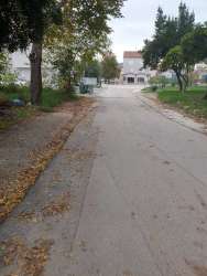 Photo of this report