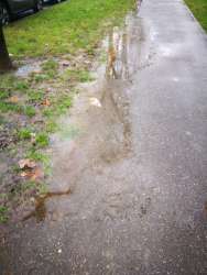 Photo of this report