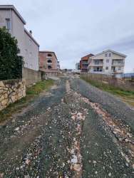 Photo of this report