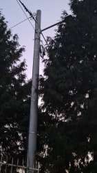 Photo of this report