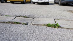 Photo of this report