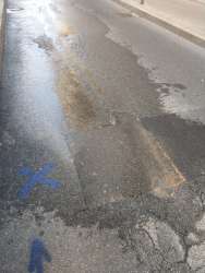 Photo of this report