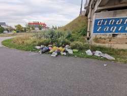Photo of this report