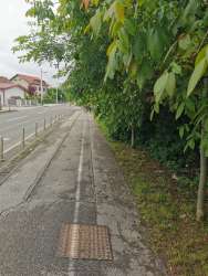 Photo of this report